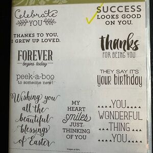 Thankful Sentiments Stamping up Rubber Stamps.